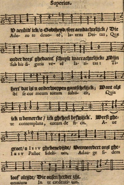 illustratie