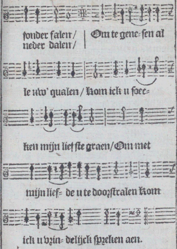 illustratie