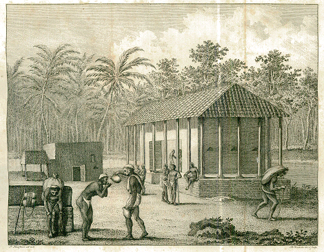 illustratie