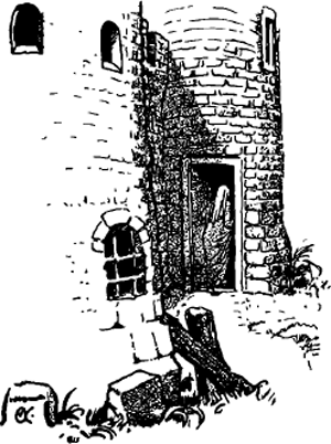 illustratie