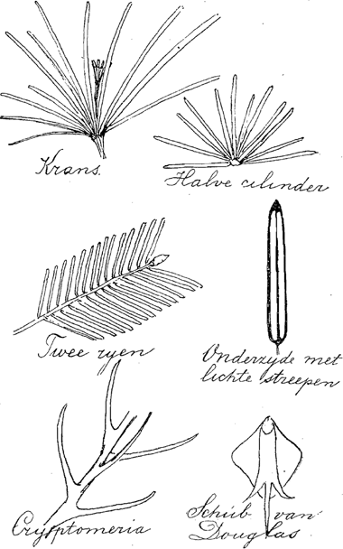 illustratie
