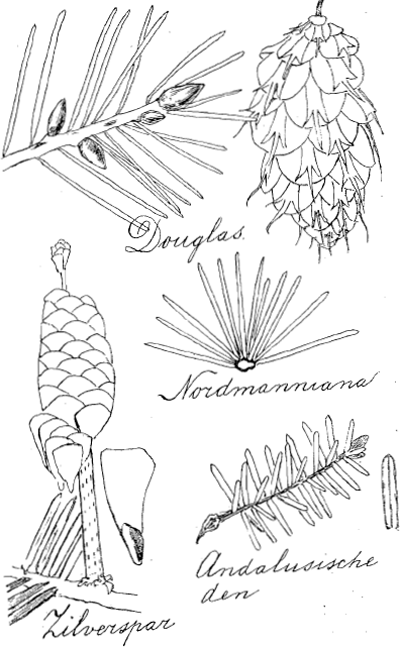 illustratie