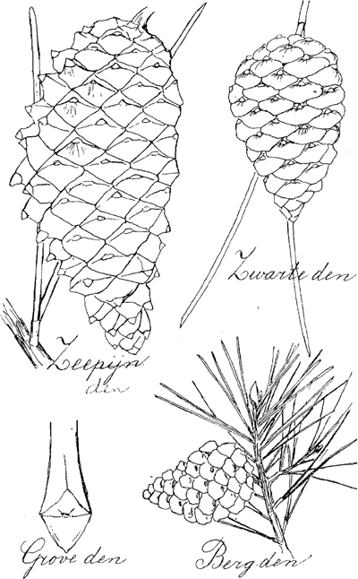 illustratie