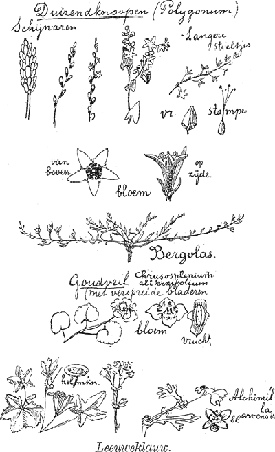 illustratie