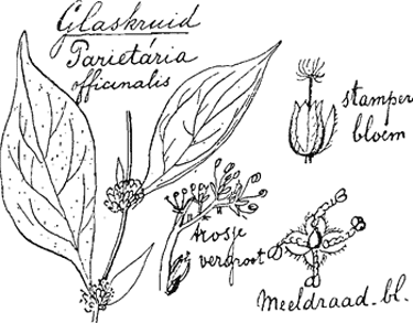 illustratie
