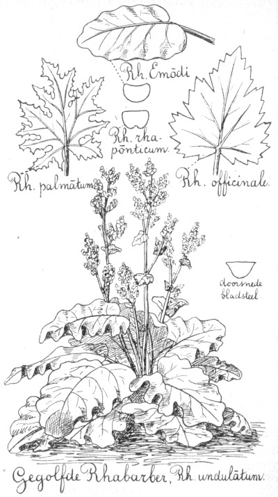 illustratie