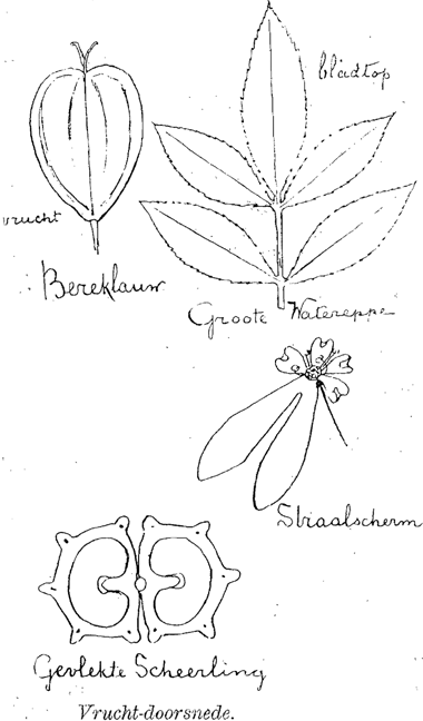 illustratie