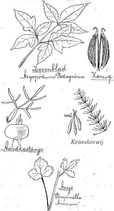 illustratie