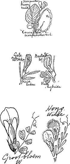 illustratie