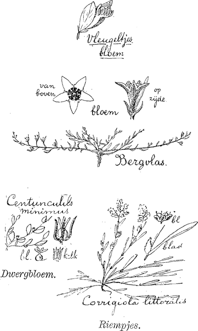 illustratie