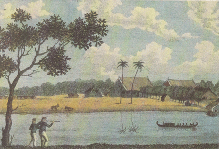 illustratie