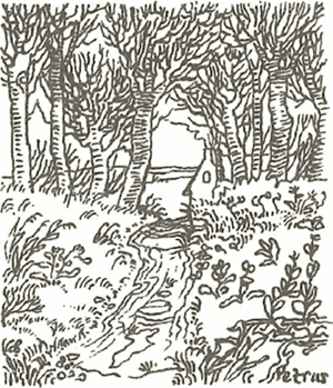 illustratie