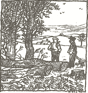 illustratie