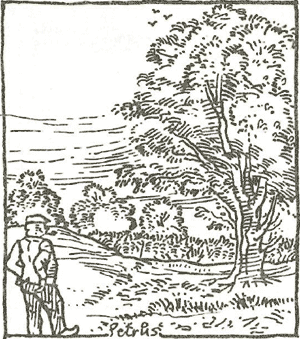 illustratie
