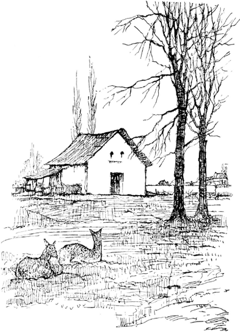 illustratie