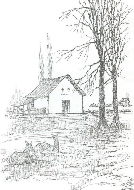 illustratie