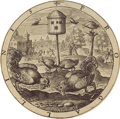 illustratie
