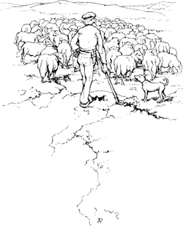 illustratie