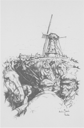 illustratie