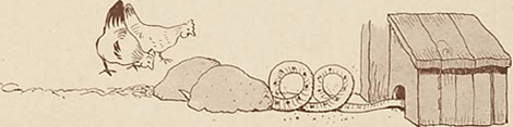 illustratie