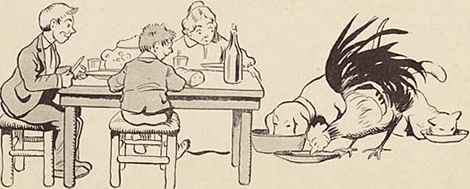 illustratie