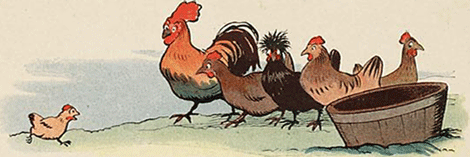 illustratie