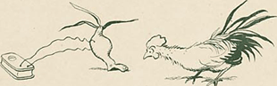 illustratie
