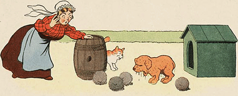 illustratie