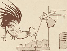 illustratie