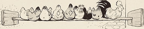 illustratie