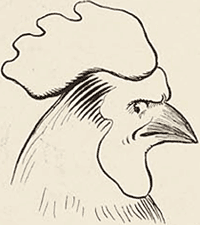 illustratie