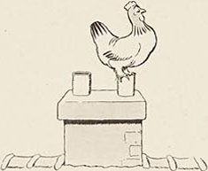 illustratie
