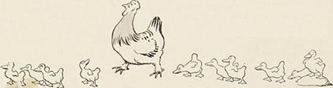 illustratie