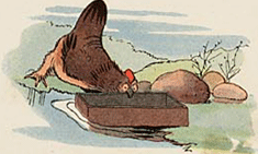 illustratie