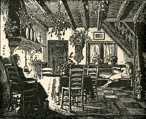 illustratie