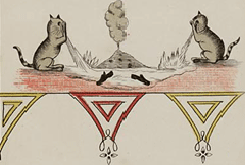 illustratie