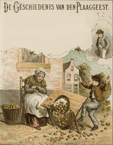 illustratie