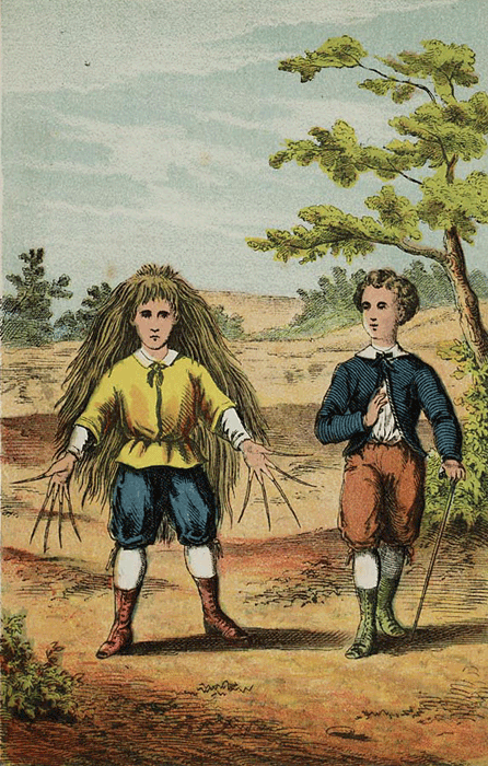illustratie
