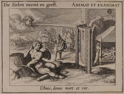 illustratie
