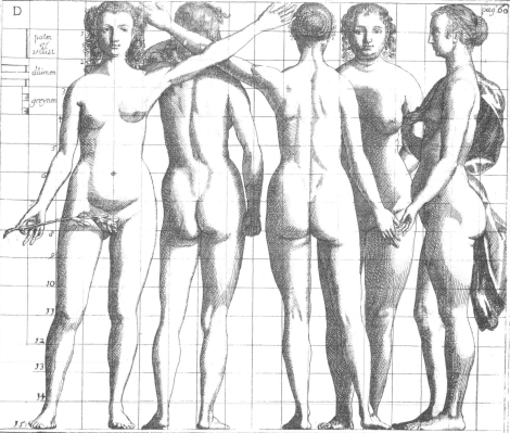 illustratie