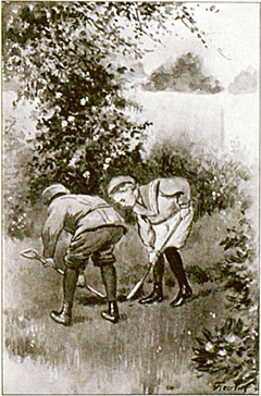 illustratie