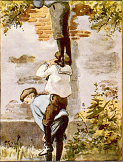 illustratie