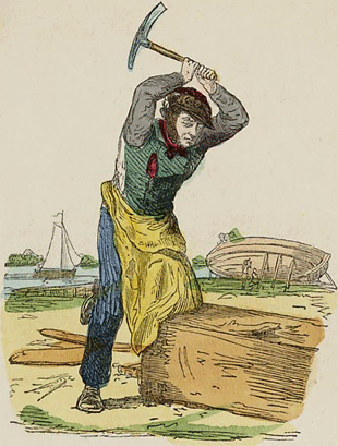illustratie