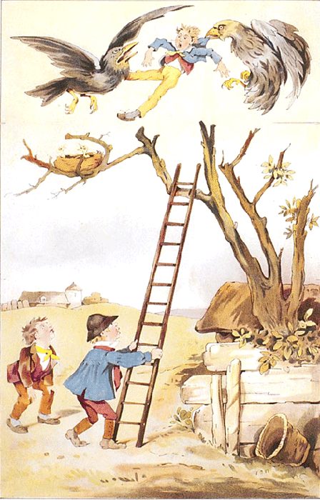 illustratie