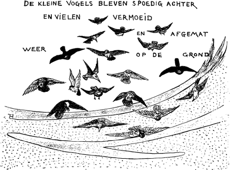 illustratie