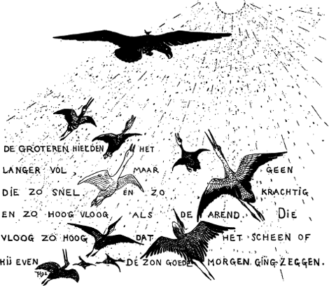 illustratie