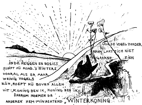 illustratie