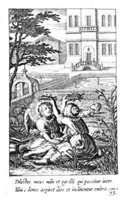 illustratie