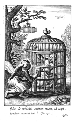 illustratie