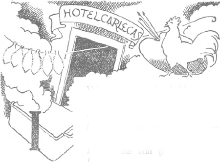 illustratie